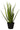 Aloe Vera in Plastic Pot 58cm - Green