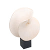 Nautara Shell Look Sculpture - Beige