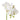 Phalaenopsis Grand Wanda Vase - Small