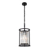 Aideen Single Light Pendant - Black