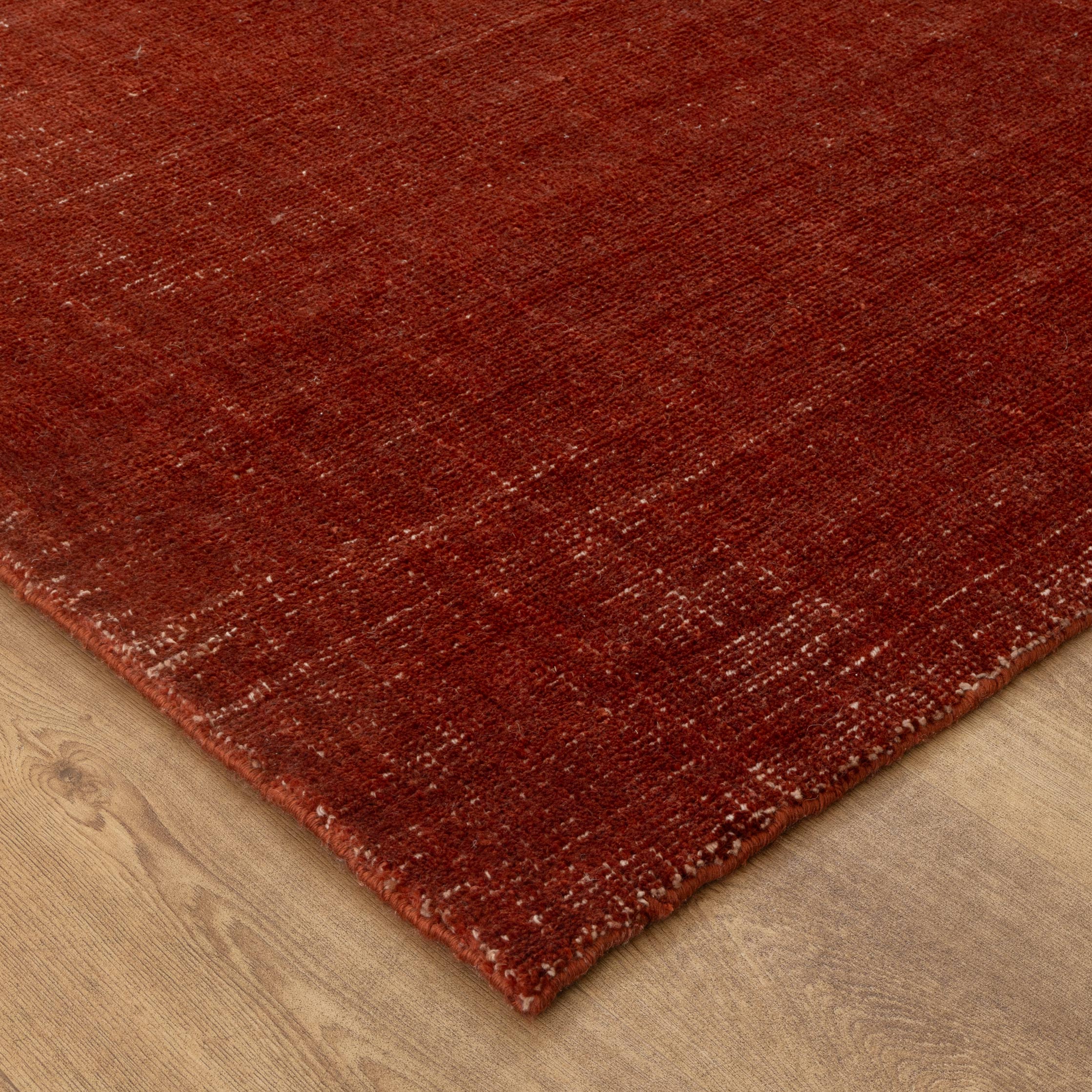 Harrith Burnt Terracotta Indoor Outdoor Rug