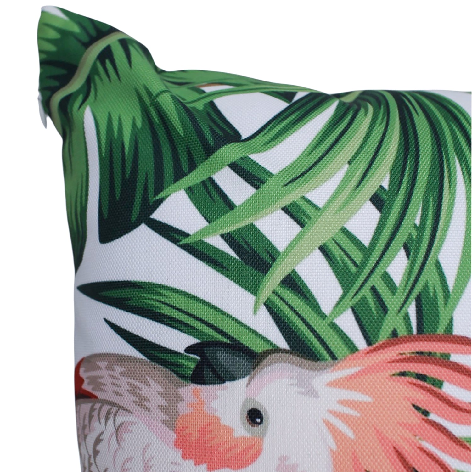 Palm Pals O/Dr Cushion 30x50cm