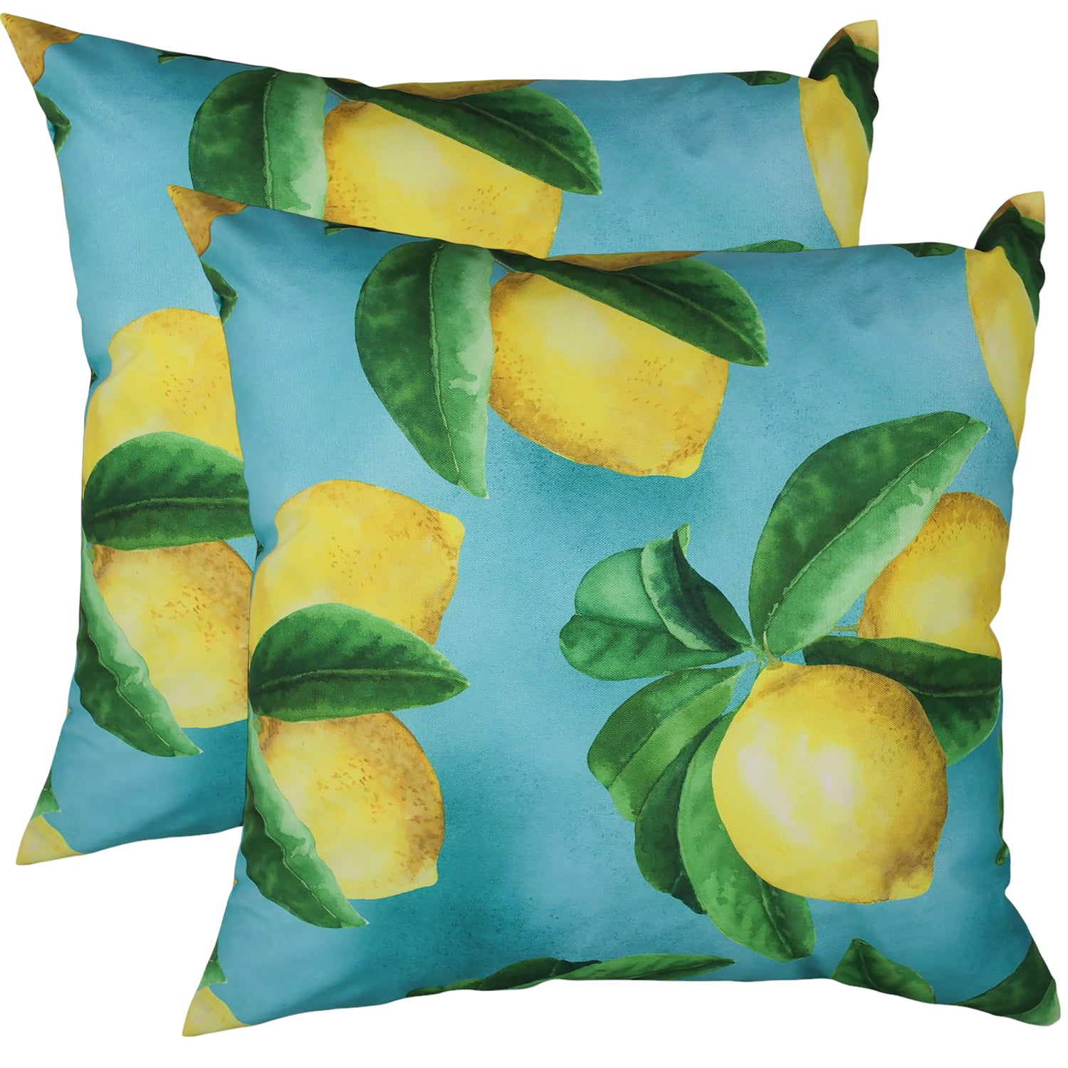 Sour Patch O/Dr Cushion 50x50cm