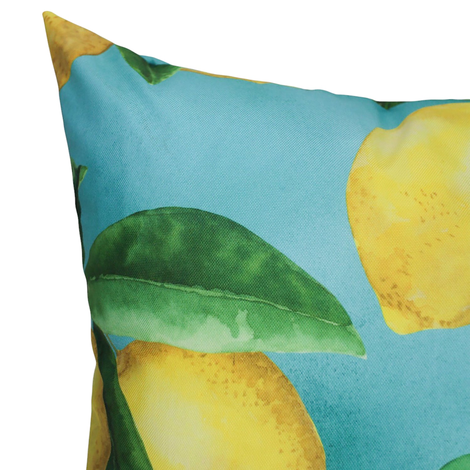Sour Patch O/Dr Cushion 50x50cm