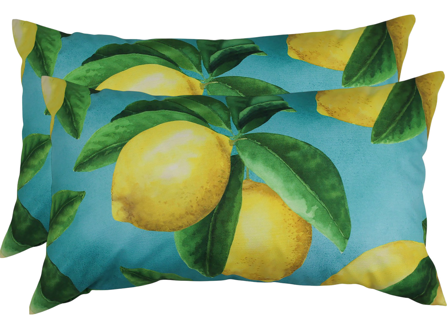Sour Patch O/Dr Cushion 30x50cm