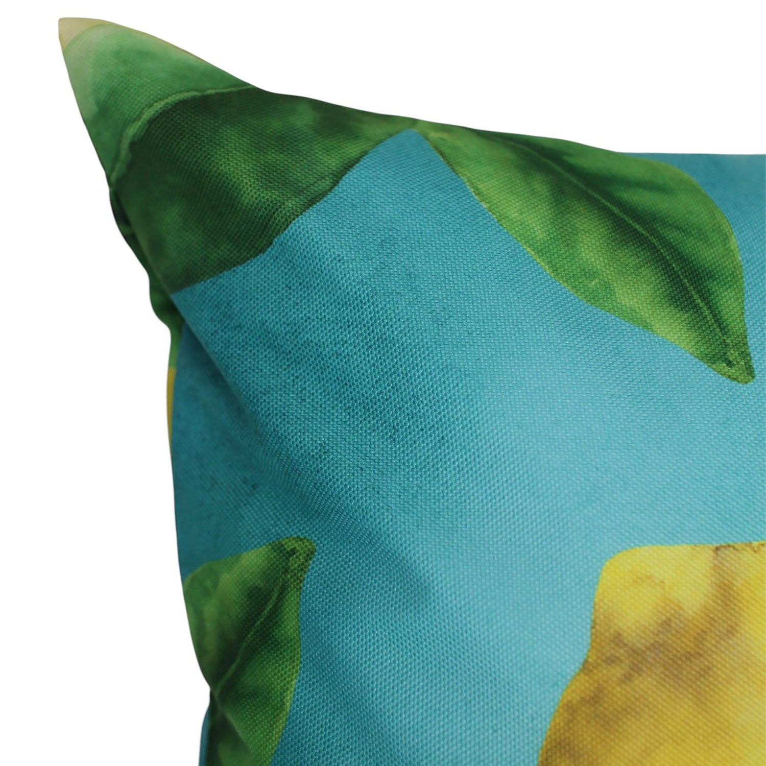 Sour Patch O/Dr Cushion 30x50cm
