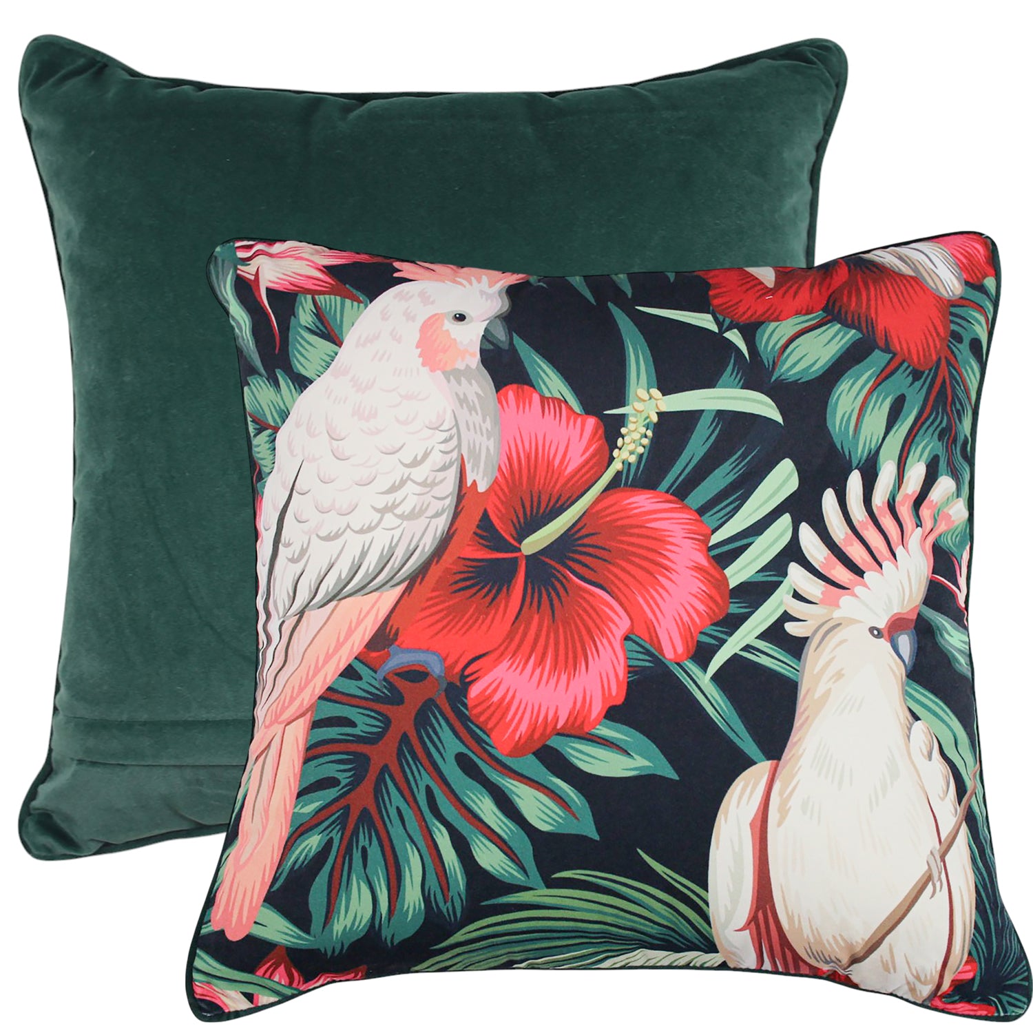 Bold Beak Velvet Cushion 50x50cm