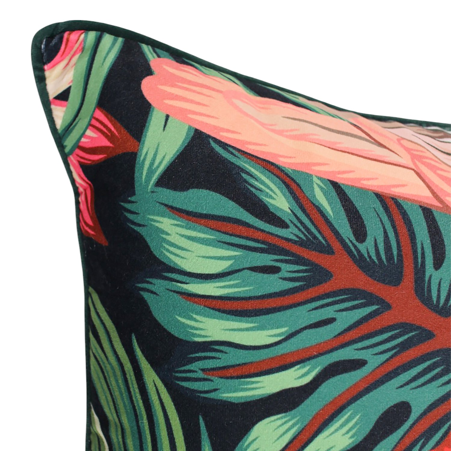 Bold Beak Velvet Cushion 50x50cm