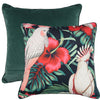 Bold Beak Velvet Cushion 50x50cm