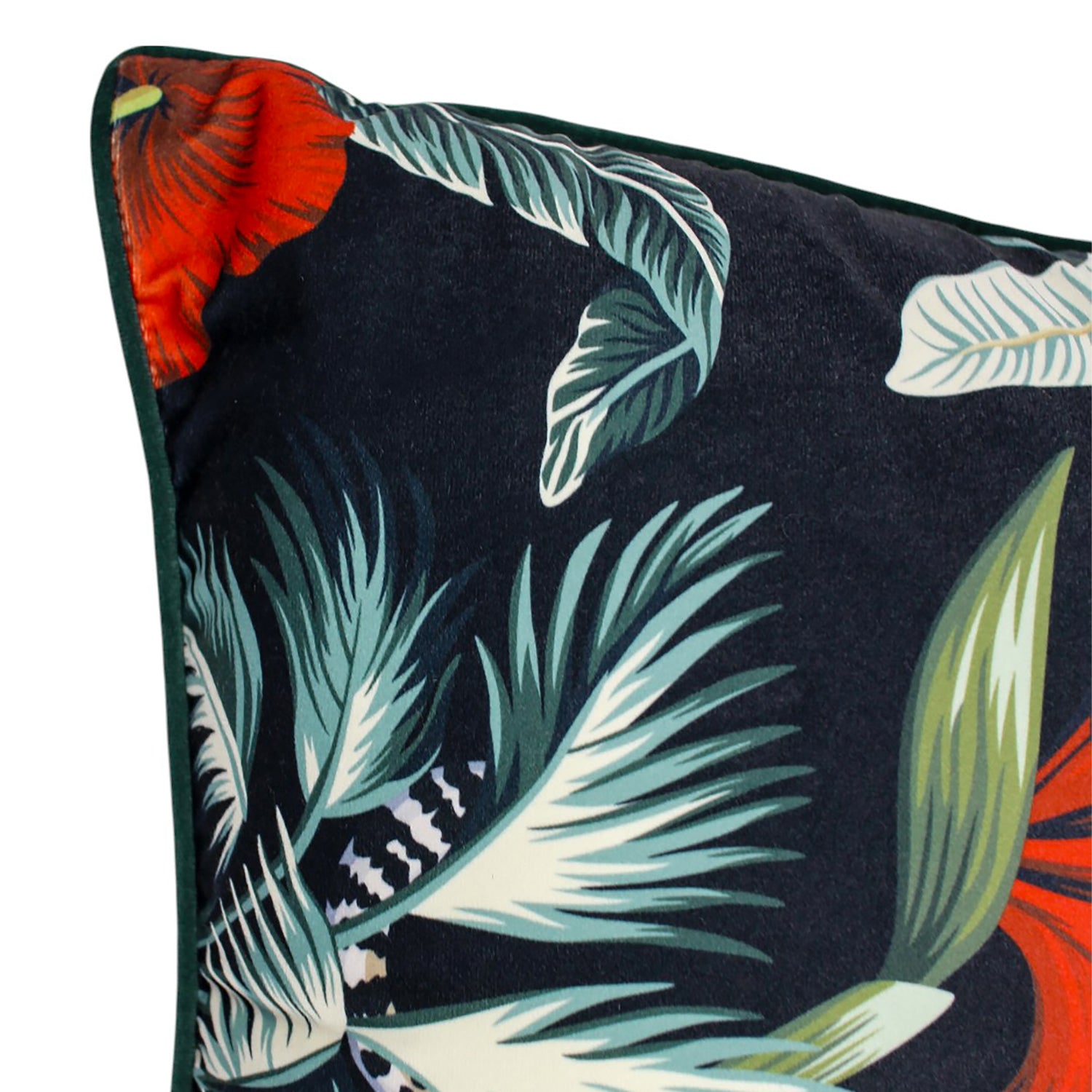 Petal Pounce Velvet Cushion 50x50cm