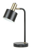 Table ES Matt Black Cylinder W/Ant Brass Highlight OD 120mm (Shade) Adjustable Head