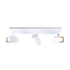 Brianna 3 Light Spot Light - White