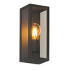 Zyra 1lt Outdoor Wall Light - Black
