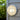 Duro Round Caged Outdoor Bunker - White