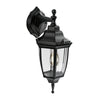 Lunor Down Outdoor Wall Light - Black