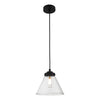 Maeron Single Light Pendant - Black