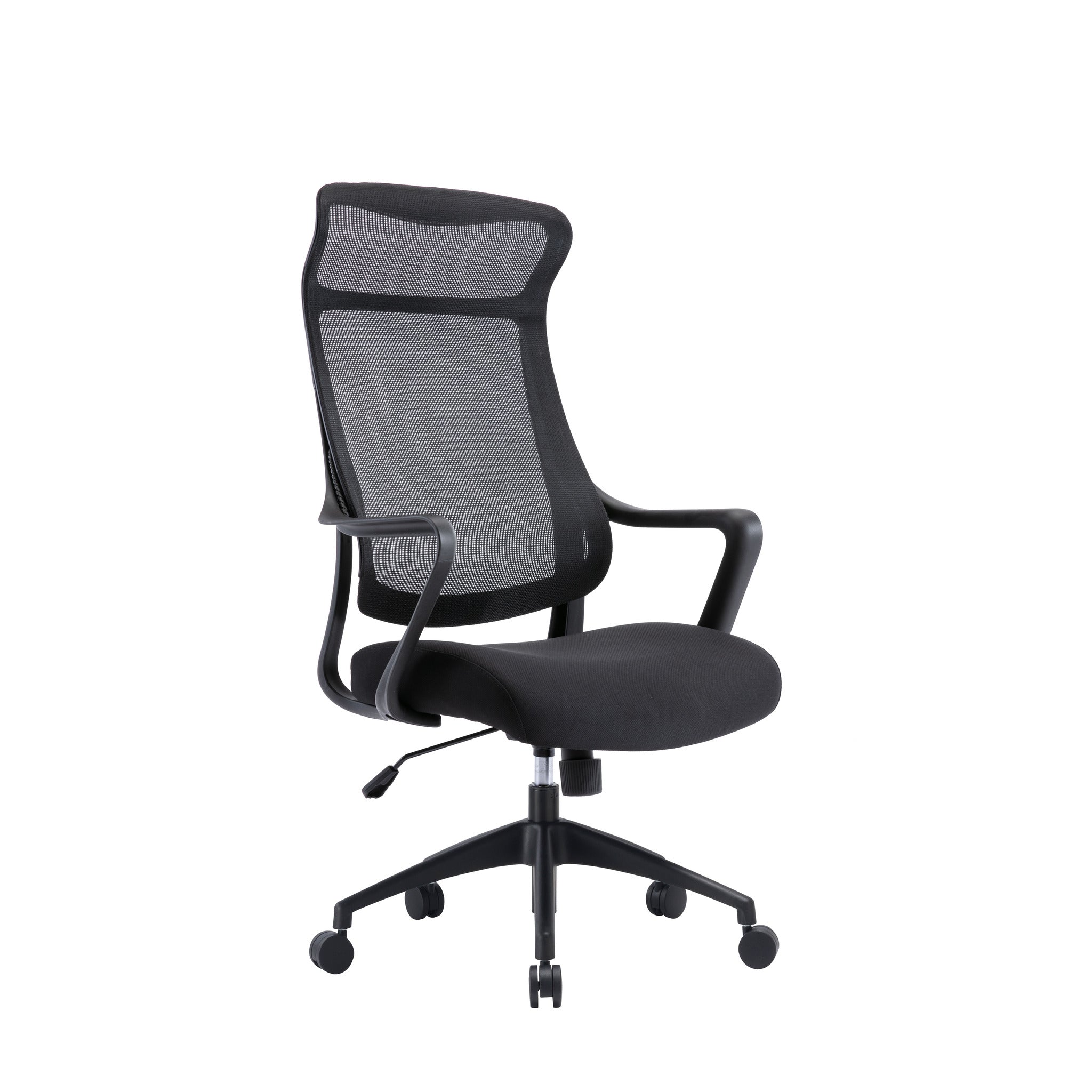 Lyman Mesh Ergonomic Office Chair - Black