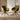Orwin Rotation Dining Chair - Olive (Set of 2)