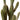 Cactus Saguaro Potted