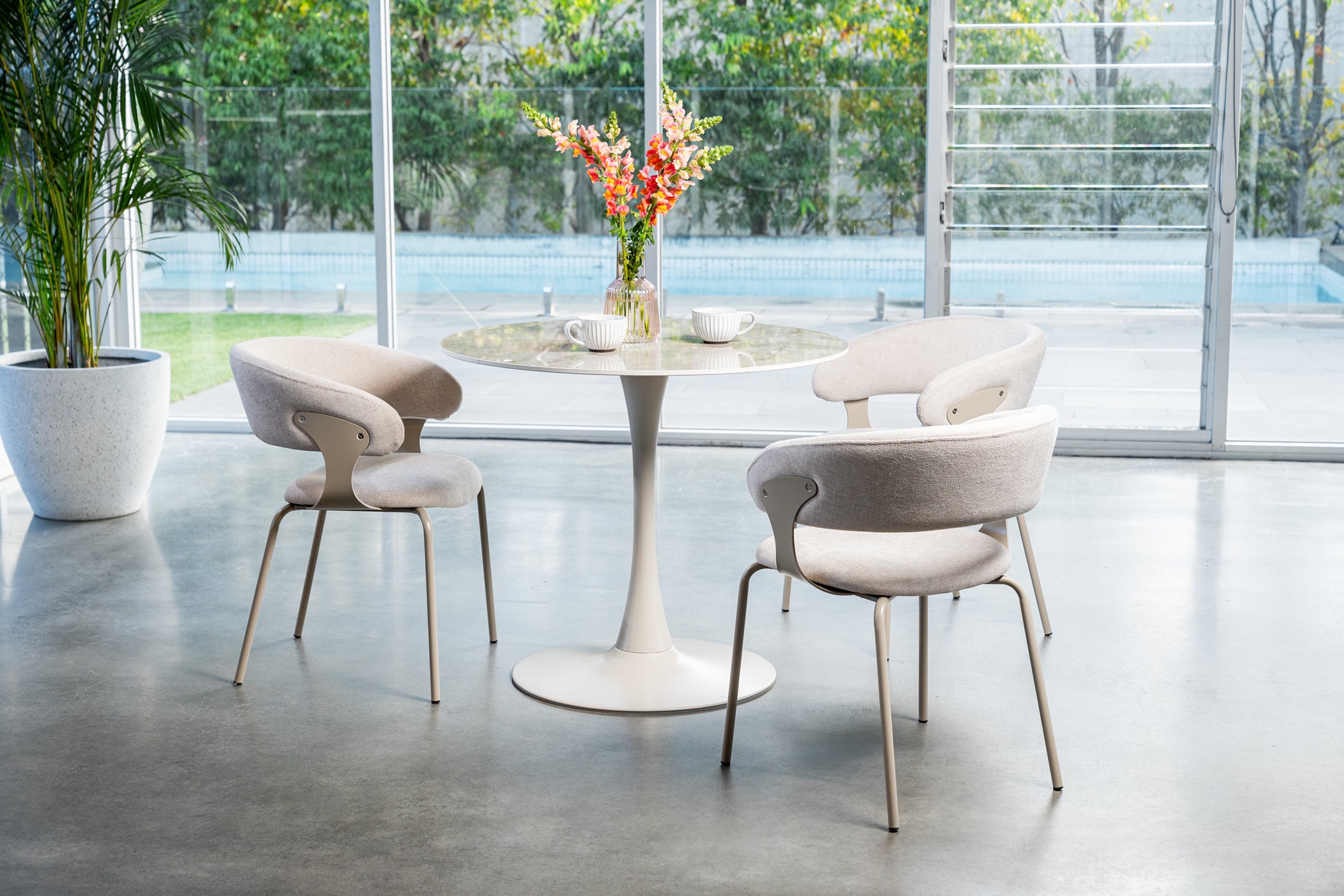 Kenny Dining Chair - Latte (Set of 2)