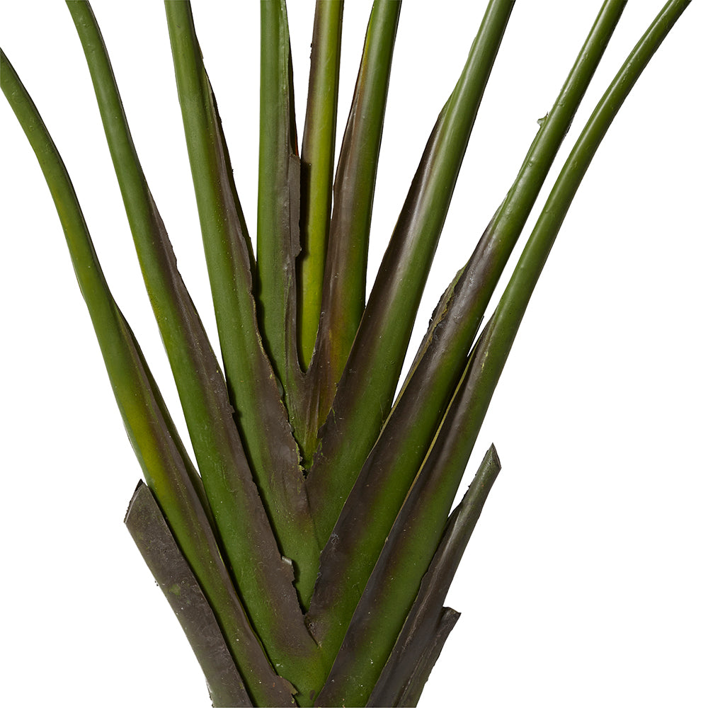 Palm Travellers - Small