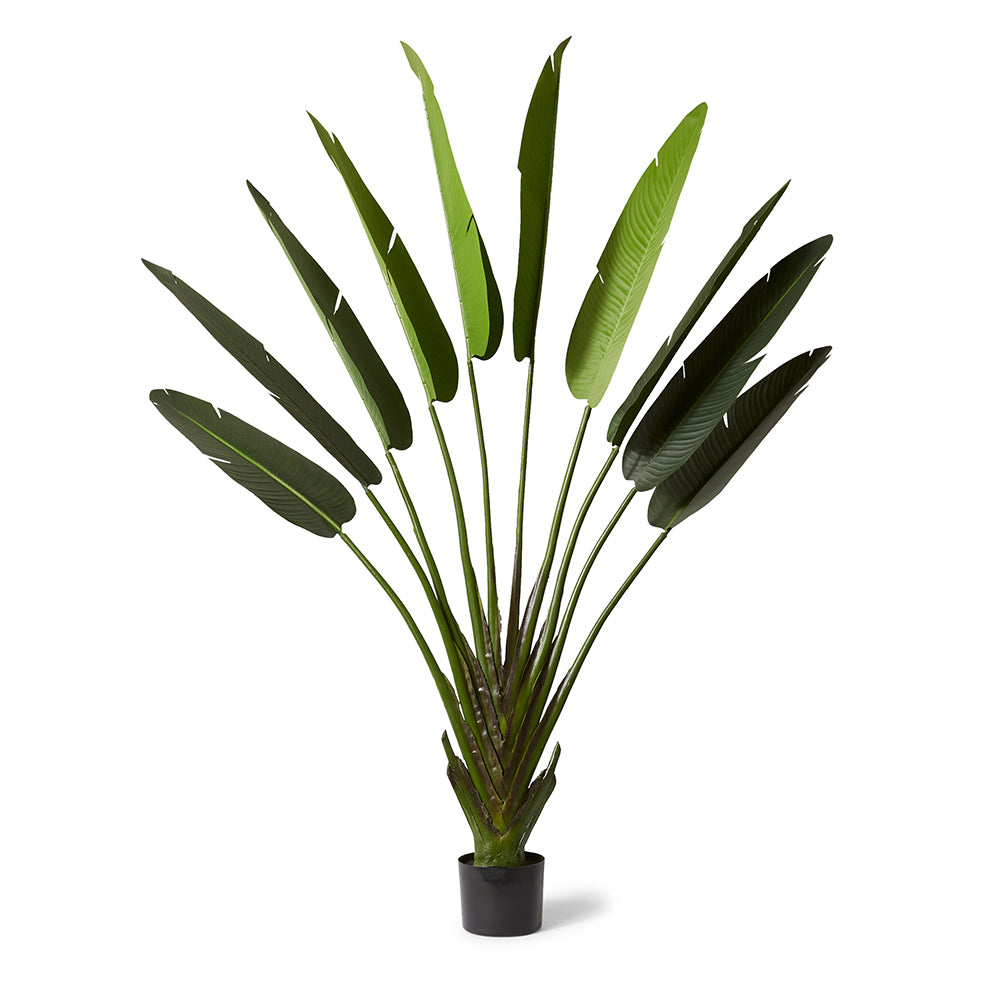 Palm Travellers - Large