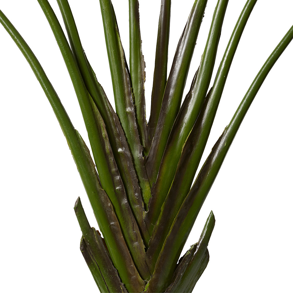 Palm Travellers - Large