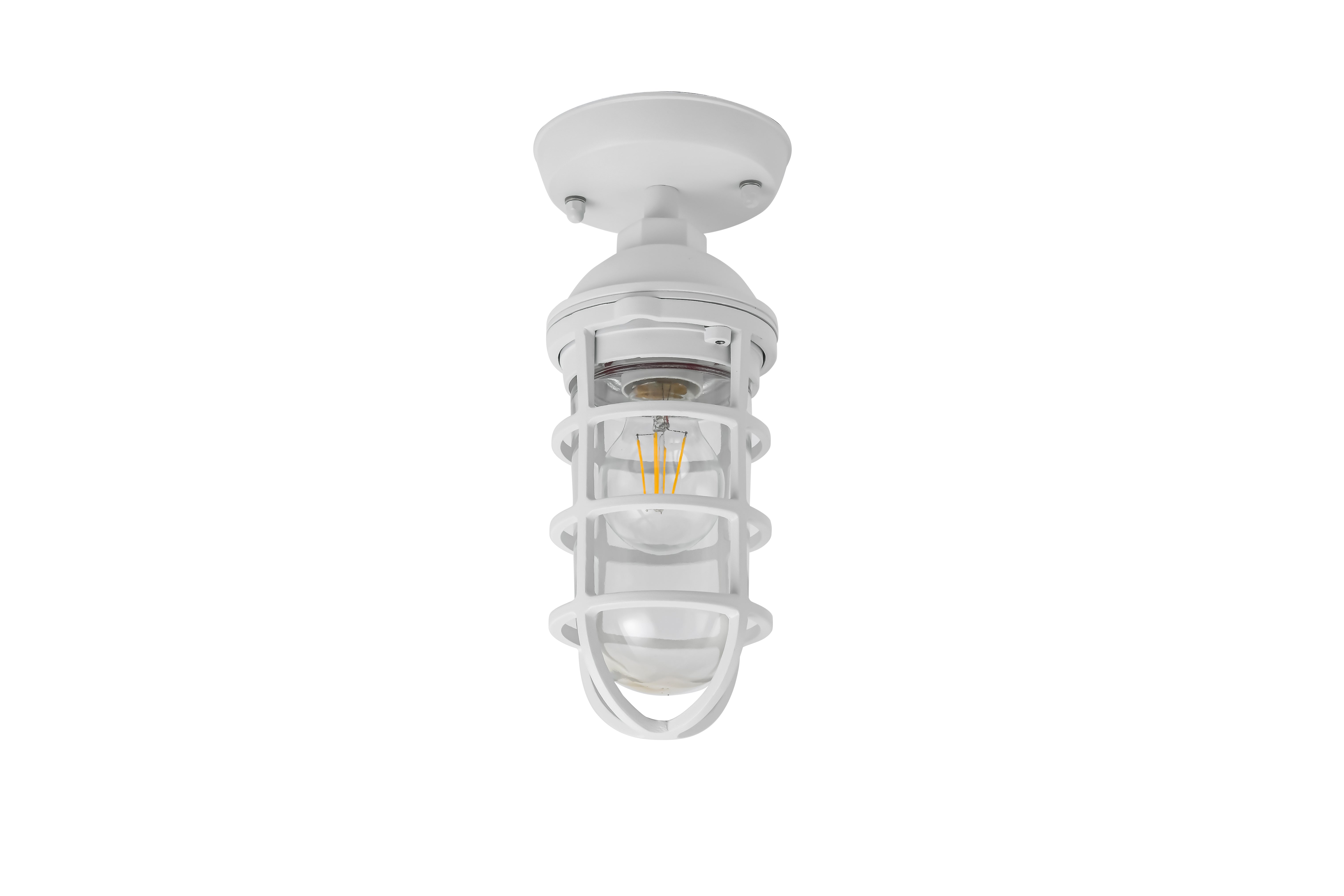 Wall/Ceiling S/M ES Cylinder Matt White Alum & Glass IP44 W/Cage