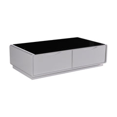 Mabel Smart Storage Coffee Table - Black & White