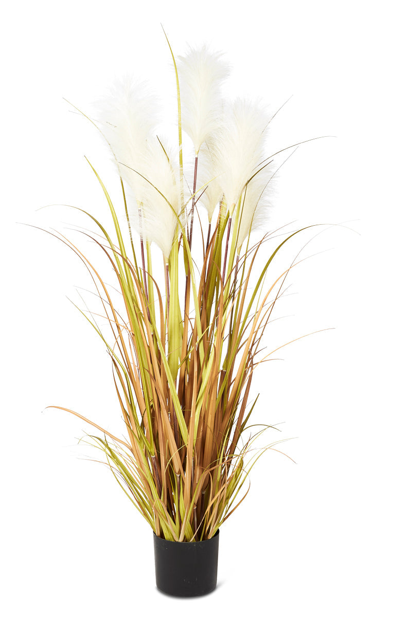 Tall Grass Reed with Pot 127cm - Green