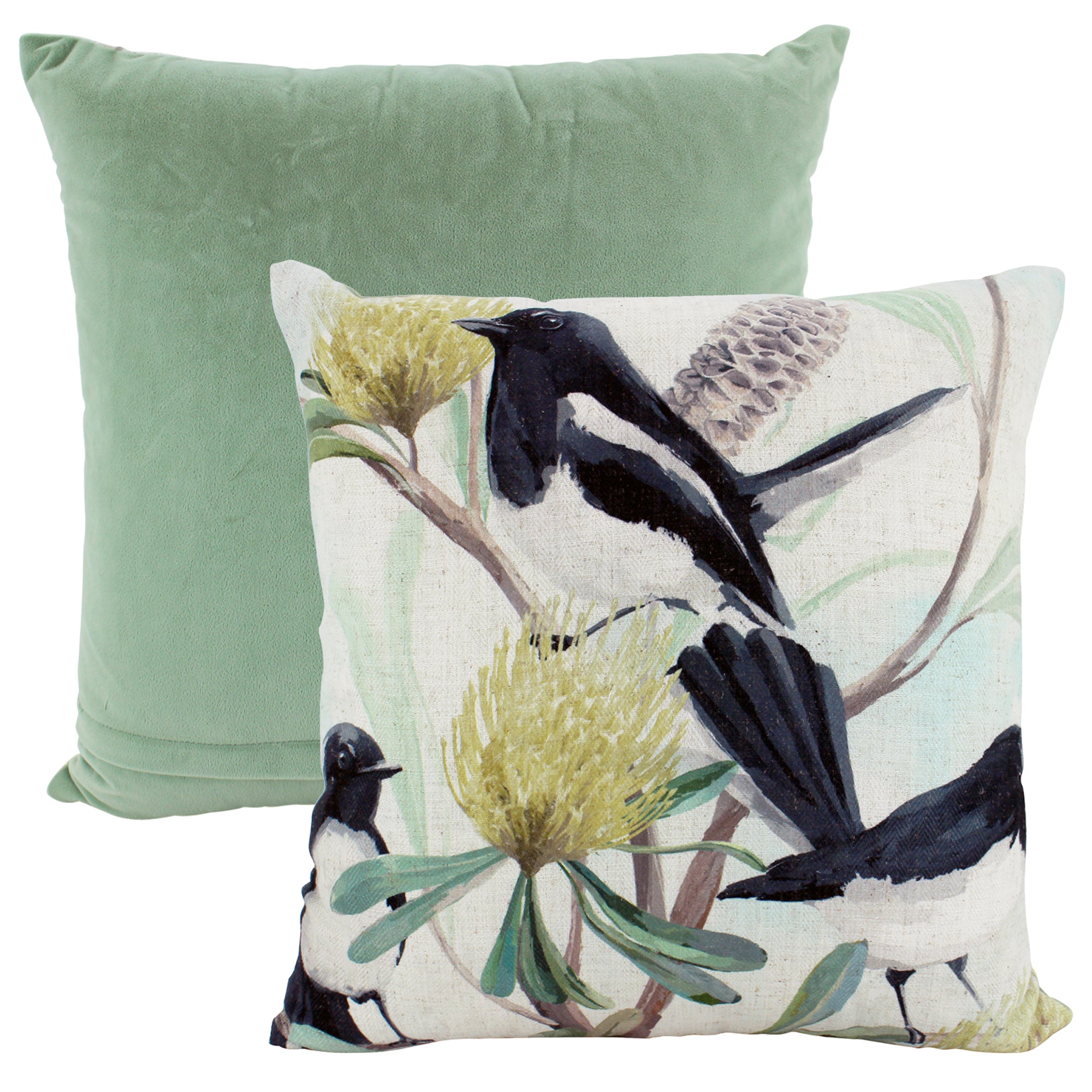 Willy Wagtail Trio Cushion 50x50cm