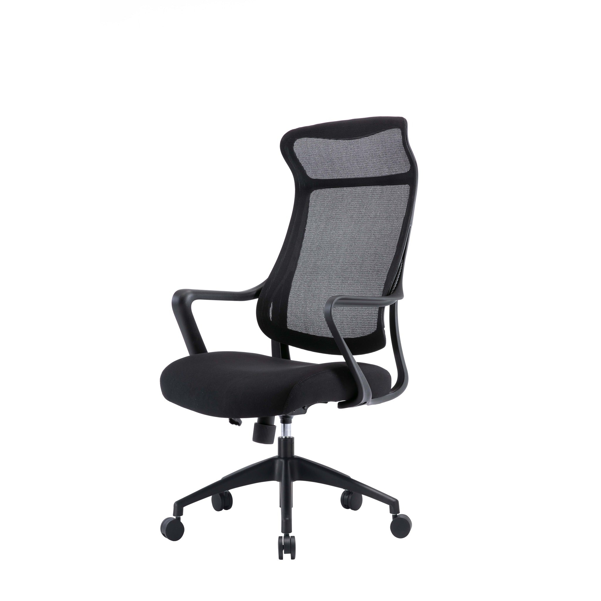 Lyman Mesh Ergonomic Office Chair - Black