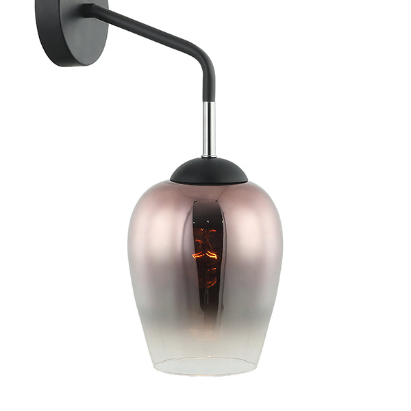 Wall Light Interior Surface Mounted ES Copper Glass with Black Iron Bracket